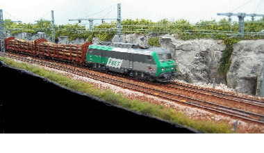 dijon 207