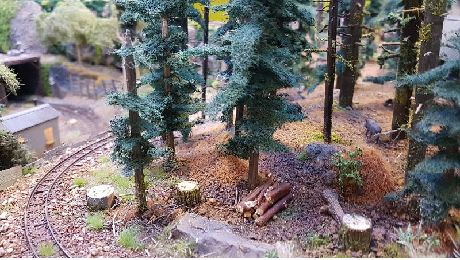 Jura Forest Railways_4